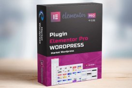 Elementor Pro v3.10.2汉化已激活版 + Elementor v3.10.1免付版
