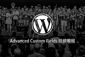 Advanced Custom Fields插件详细使用视频教程