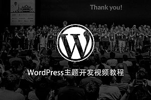 WordPress主题开发实战技术点视频教程