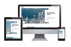 图文博客网站模板 响应式多端风格模版下载