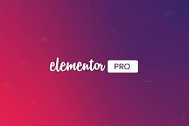 Elementor Pro v3.5.2汉化已激活版 + Elementor v3.4.8免费版