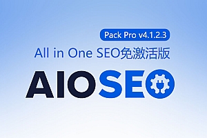 All in One SEO Pack Pro v4.3.0 [汉化已激活版]下载