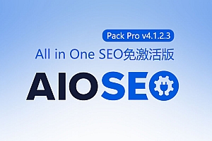 All in One SEO Pack Pro v4.3.0 [汉化已激活版]免费下载