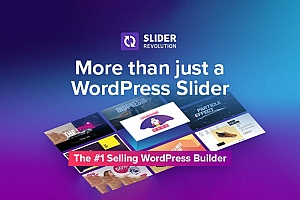 Slider Revolution v6.5.6 已激活中文汉化版免费下载