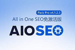 All in One SEO Pack Pro v4.3.0 [汉化已激活版]下载