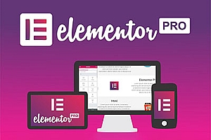 Elementor Pro模版和免费版的模板下载（共500余套）