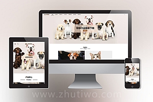 宠物店网站模板 宠物用品宠物行业网站模板
