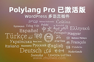 Polylang Pro v3.3 已激活版 WordPress 网站多语言插件