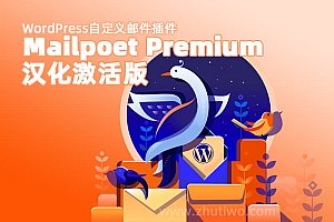 Mailpoet Premium v4.5.0 汉化激活版 自定义邮件插件