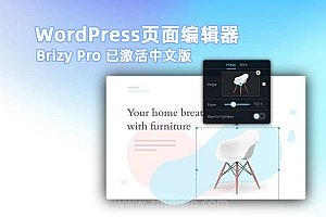 Brizy Pro v2.4.13 已激活中文版 WordPress可视化页面编辑器