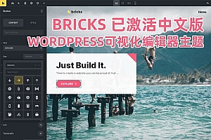 Bricks v1.6.1 已激活中文版 – WordPress可视化编辑器主题