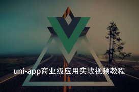 uni-app商业级应用实战视频教程价值449【完整版】附源码及资料包