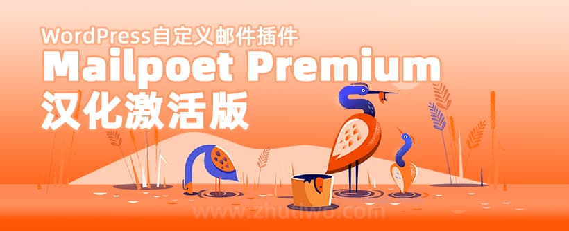 Mailpoet Premium汉化激活版
