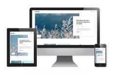 图文博客网站模板 响应式多端风格模版下载