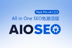 All in One SEO Pack Pro v4.2.8 [汉化已激活版]免费下载