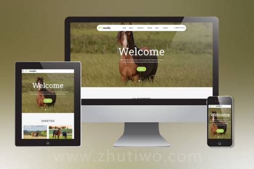 养马场畜牧业英文网站pbootcms模板 马匹饲养养殖场网站模板下载