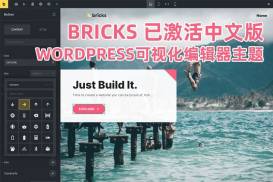 Bricks v1.6.1 已激活中文版 – WordPress可视化编辑器主题